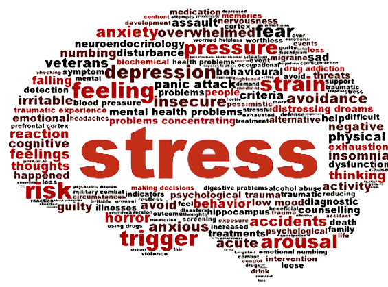 چگونه در شرایط پر استرس آرامش داشته باشیم؟ 12 استرس