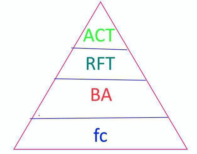 5 پاورپوینت درمان مبتنی بر پذیرش و تعهد - اکت ACT 10 درمان مبتنی بر پذیرش و تعهد - اکت -