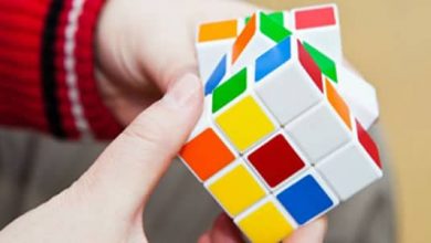 هوش‌های چندگانه گاردنر