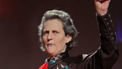 تمپل گراندین و زندگی موفق با اوتیسم 12 درمان اوتیسم - تمپل گراندین