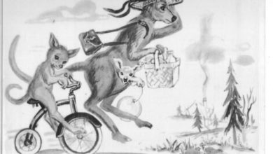 راهنمای کامل اجرا و تفسیر آزمون اندریافت کودکان cat+به همراه تصاویر 24 آزمون اندریافت کودکان