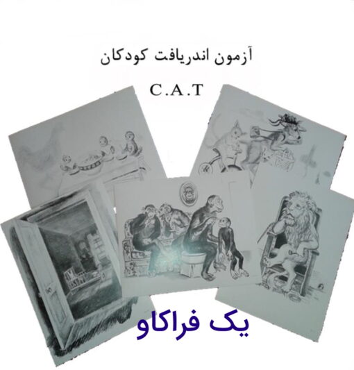 راهنمای کامل اجرا و تفسیر آزمون اندریافت کودکان cat +به همراه تصاویر 8 راهنمای کامل اجرا و تفسیر آزمون اندریافت کودکان cat +به همراه تصاویر
