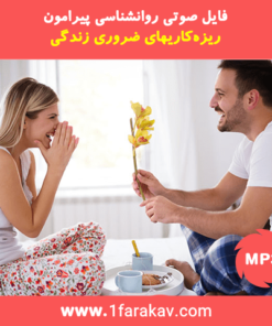 چگونه مشکلات را حل کنم؟ (14 گام) 10 دانلود کارگاه ریزهکاریهای زندگی زناشویی (بسیار کاربردی)