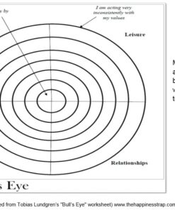 دانلود راهنمای فرمول بندی مورد در درمان پذیرش و تعهد ACT