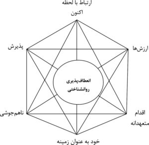 دانلود کارگاه درمان مبتنی بر پذیرش و تعهد ACT 13 درمان مبتنی بر پذیرش و تعهد ACT